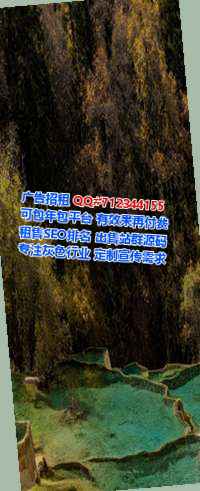 西乡塘供卵环卫工作室